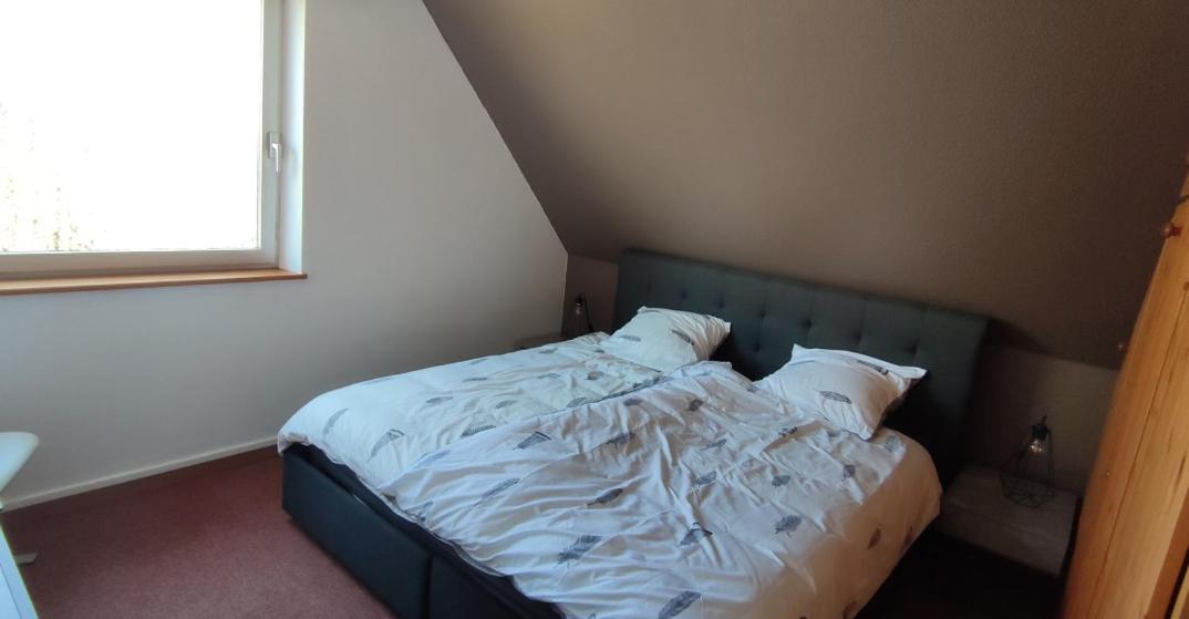 Le Strasbourgeois Appartement Illkirch-Graffenstaden Buitenkant foto
