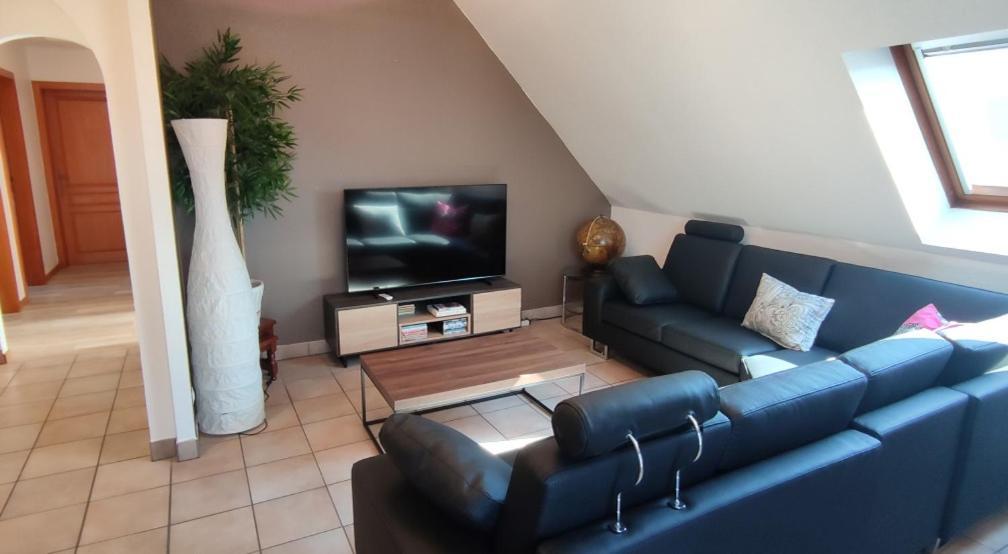 Le Strasbourgeois Appartement Illkirch-Graffenstaden Buitenkant foto