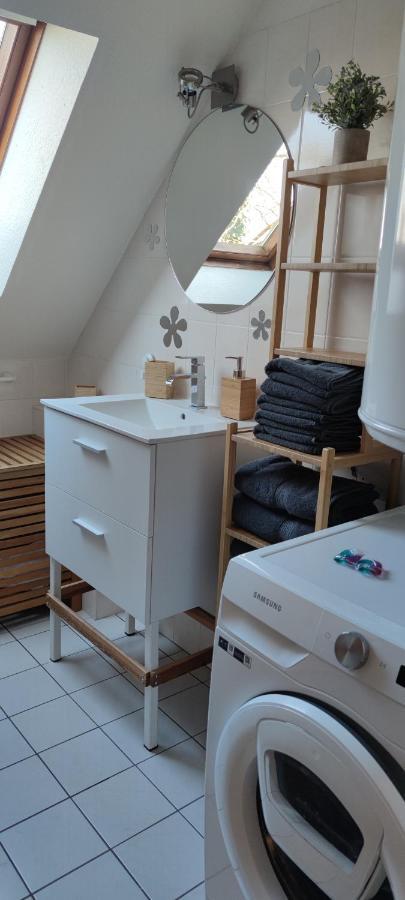 Le Strasbourgeois Appartement Illkirch-Graffenstaden Buitenkant foto